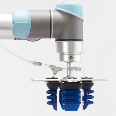 pince universelle du robot 900g pour de petites marchandises de volume