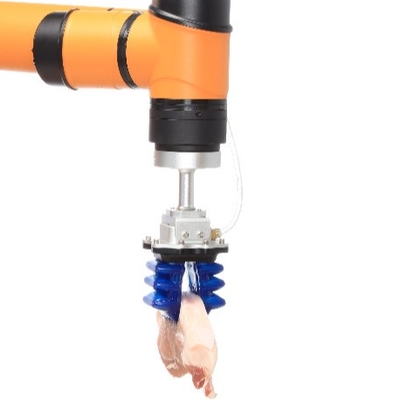 pince 300g robotique molle