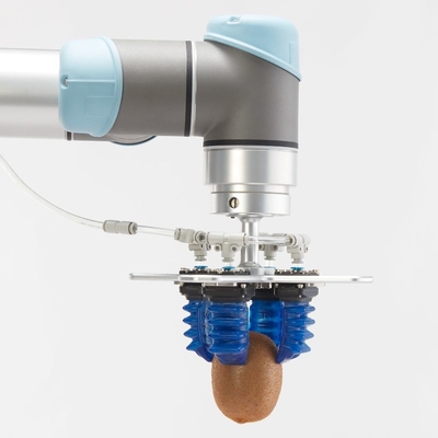 pince flexible du robot 2100g manipulant les articles irréguliers